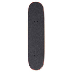 Ron Jon Wave Complete Skateboard