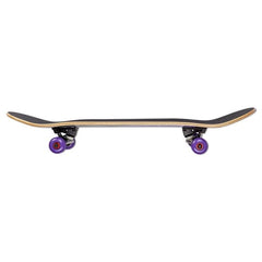 Ron Jon Alien Complete Short Skateboard